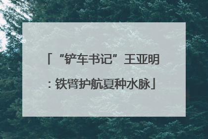 “铲车书记”王亚明：铁臂护航夏种水脉
