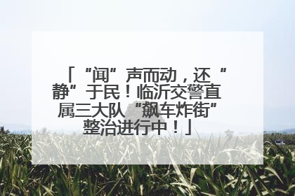 “闻”声而动，还“静”于民！临沂交警直属三大队“飙车炸街”整治进行中！