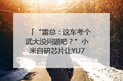 “雷总：这车考个武大没问题吧？”小米自研芯片让YU7会学习｜汽车科技
