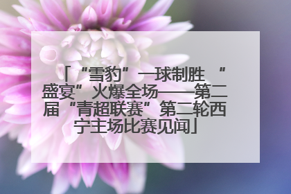 “雪豹”一球制胜 “盛宴”火爆全场——第二届“青超联赛”第二轮西宁主场比赛见闻