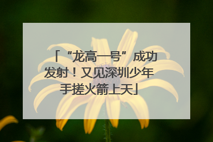 “龙高一号”成功发射！又见深圳少年手搓火箭上天