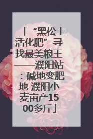 “黑松土活化肥”寻找最美粮王——濮阳站：碱地变肥地 濮阳小麦亩产1500多斤
