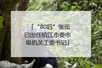 “80后”张蕾已出任镇江市委市级机关工委书记
