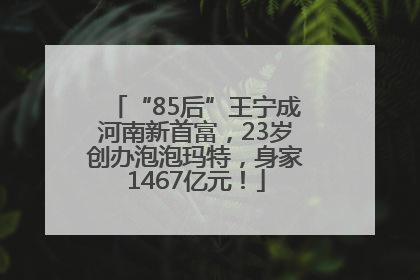 “85后”王宁成河南新首富，23岁创办泡泡玛特，身家1467亿元！