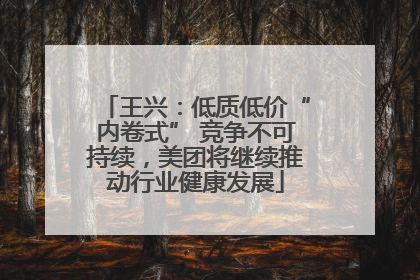 王兴：低质低价“内卷式” 竞争不可持续，美团将继续推动行业健康发展