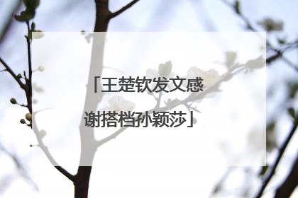 王楚钦发文感谢搭档孙颖莎