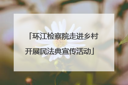 环江检察院走进乡村开展民法典宣传活动