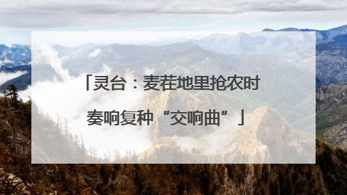 灵台：麦茬地里抢农时 奏响复种“交响曲”