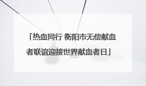 热血同行 衡阳市无偿献血者联谊迎接世界献血者日