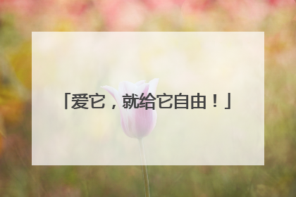 爱它，就给它自由！