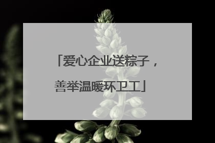 爱心企业送粽子，善举温暖环卫工