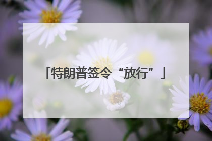 特朗普签令“放行”