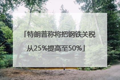 特朗普称将把钢铁关税从25%提高至50%