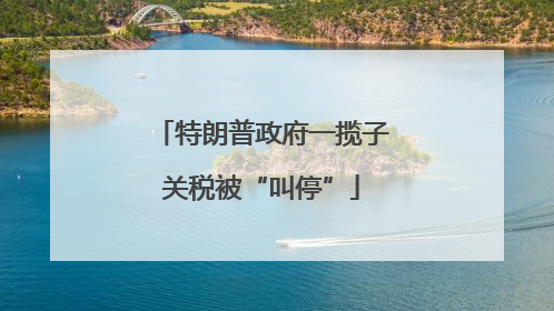 特朗普政府一揽子关税被“叫停”