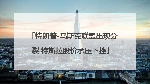 特朗普-马斯克联盟出现分裂 特斯拉股价承压下挫