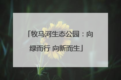 牧马河生态公园：向绿而行 向新而生
