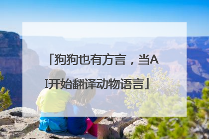狗狗也有方言，当AI开始翻译动物语言