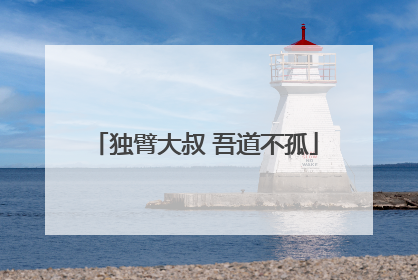 独臂大叔 吾道不孤