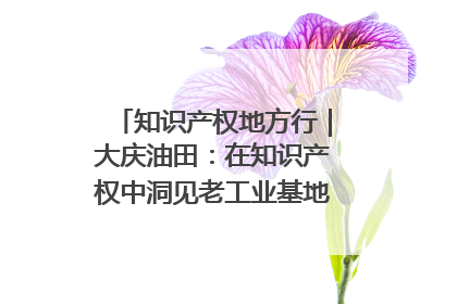 知识产权地方行｜大庆油田：在知识产权中洞见老工业基地的 “创新密码”