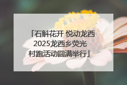 石斛花开 悦动龙西 2025龙西乡荧光村跑活动圆满举行