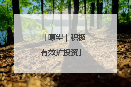 瞭望｜积极有效扩投资