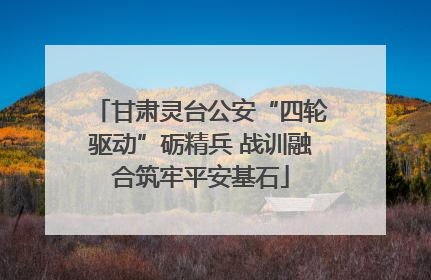 甘肃灵台公安“四轮驱动”砺精兵 战训融合筑牢平安基石
