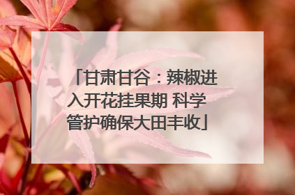 甘肃甘谷：辣椒进入开花挂果期 科学管护确保大田丰收