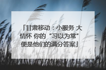 甘肃移动：小服务 大情怀 你的“习以为常”便是他们的满分答案