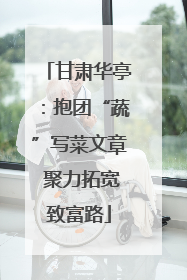 甘肃华亭：抱团“蔬”写菜文章 聚力拓宽致富路