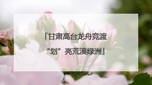 甘肃高台龙舟竞渡“划”亮荒漠绿洲