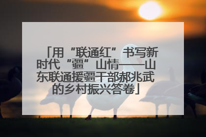 用“联通红”书写新时代“疆”山情——山东联通援疆干部郝兆武的乡村振兴答卷