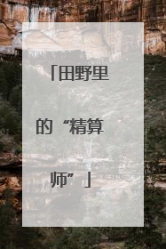 田野里的“精算师”