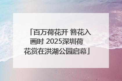 百万荷花开 簪花入画时 2025深圳荷花赏在洪湖公园启幕