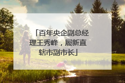 百年央企副总经理王秀峰，履新直辖市副市长