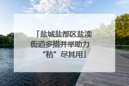 盐城盐都区盐渎街道多措并举助力“秸”尽其用