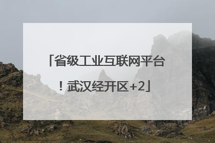 省级工业互联网平台！武汉经开区+2