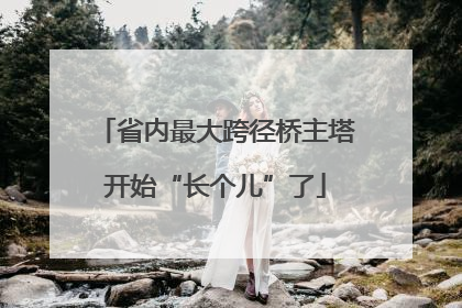 省内最大跨径桥主塔开始“长个儿”了