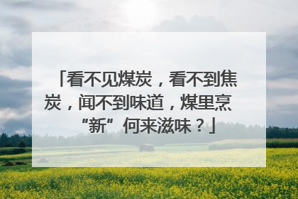 看不见煤炭，看不到焦炭，闻不到味道，煤里烹“新”何来滋味？