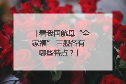 看我国航母“全家福” 三舰各有哪些特点？