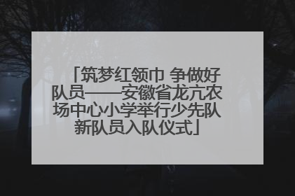 筑梦红领巾 争做好队员——安徽省龙亢农场中心小学举行少先队新队员入队仪式
