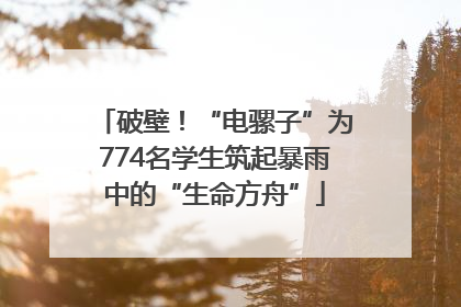 破壁！“电骡子”为774名学生筑起暴雨中的“生命方舟”