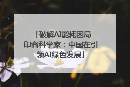 破解AI能耗困局 印裔科学家：中国在引领AI绿色发展