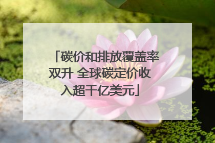 碳价和排放覆盖率双升 全球碳定价收入超千亿美元