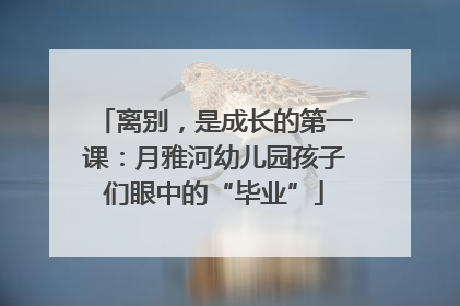 离别，是成长的第一课：月雅河幼儿园孩子们眼中的“毕业”