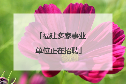 福建多家事业单位正在招聘