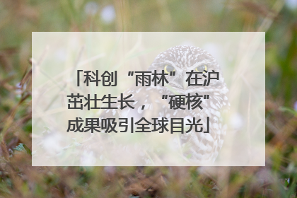 科创“雨林”在沪茁壮生长，“硬核”成果吸引全球目光