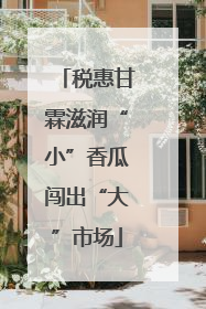 税惠甘霖滋润“小”香瓜闯出“大”市场
