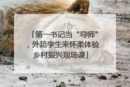第一书记当“导师”，外籍学生来怀柔体验乡村振兴现场课
