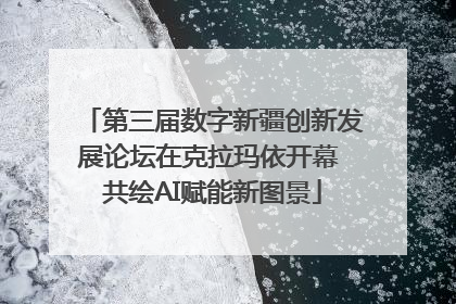 第三届数字新疆创新发展论坛在克拉玛依开幕 共绘AI赋能新图景