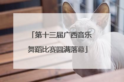 第十三届广西音乐舞蹈比赛圆满落幕